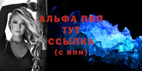 хмурый Абаза