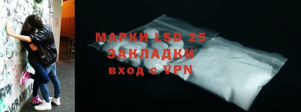 хмурый Абаза