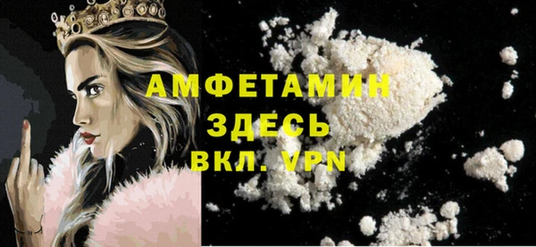 хмурый Абаза