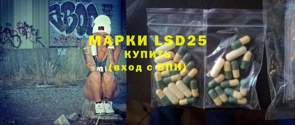 хмурый Абаза