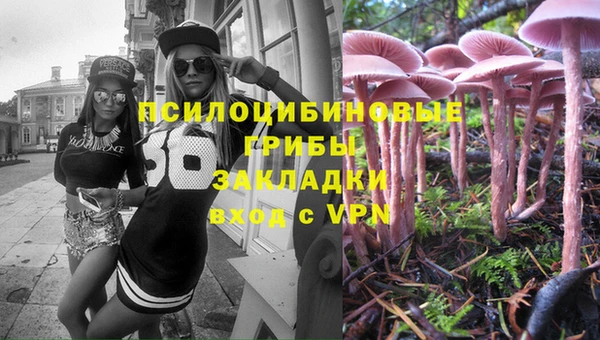 гидропоника Абинск