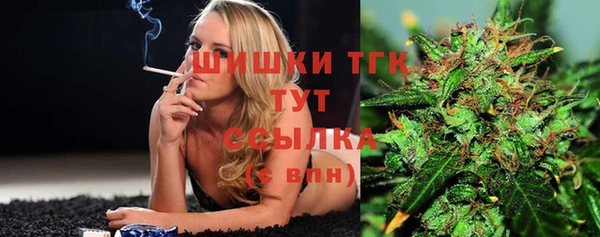 хмурый Абаза
