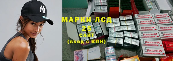 хмурый Абаза