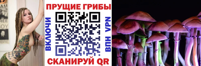 хочу наркоту  Серафимович  Галлюциногенные грибы прущие грибы 
