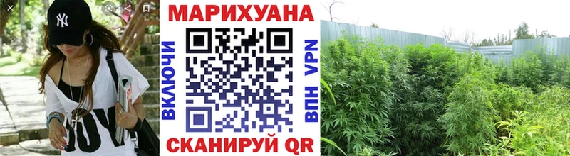 Марихуана SATIVA & INDICA  магазин  наркотиков  Серафимович 